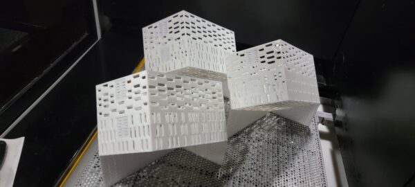 20230525_131216-1-scaled