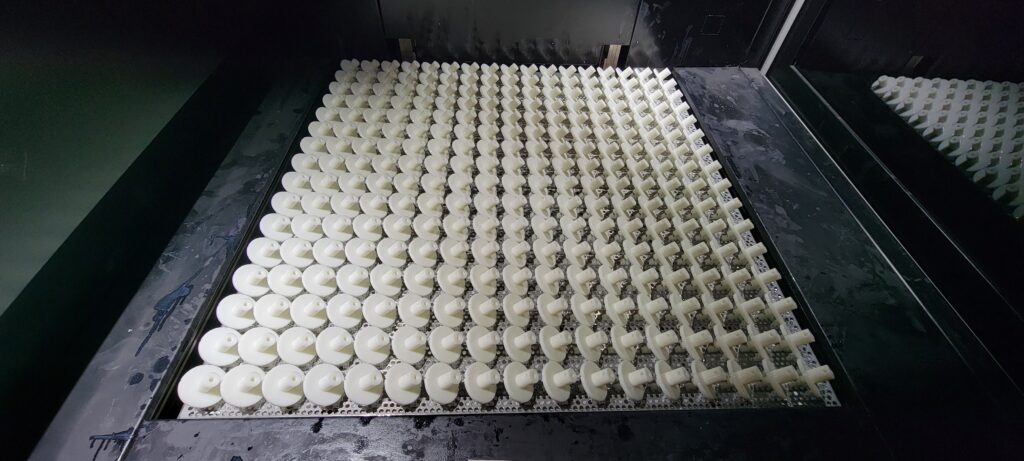 20231004_091044-scaled