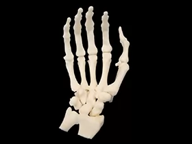 5e85902563017280_210