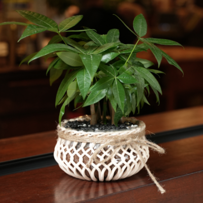 BAMBU-LAB-FILAMENT-aDDITIVE-pLUS-11