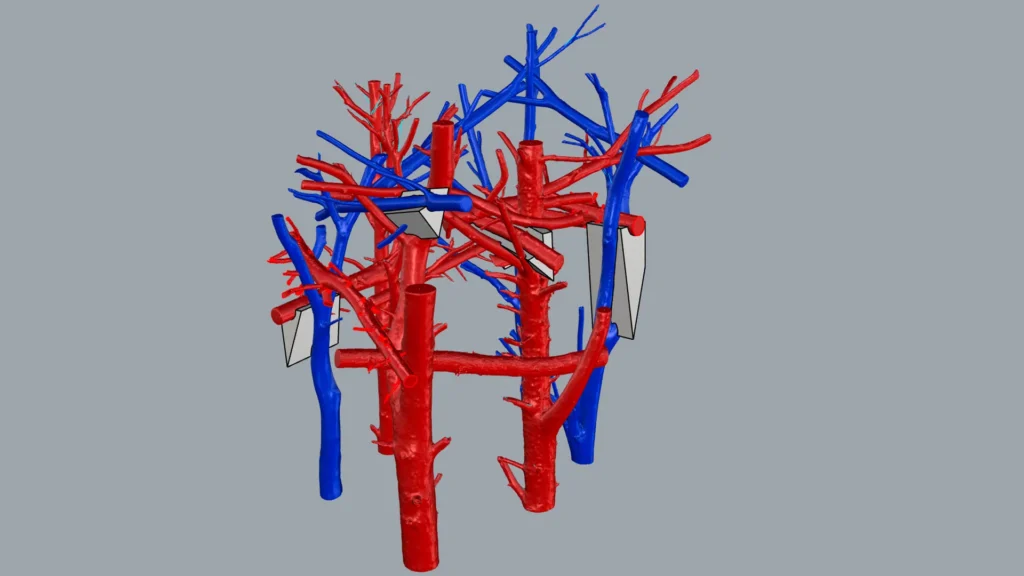 Caracol-KengoKuma-Biennale-Architettura-2025-LFAM-robotic-advanced-manufacturing-TPE-HeronAM5
