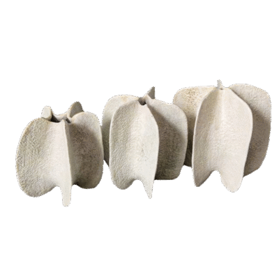 SLS-Kings3d-KSPA12GB-1