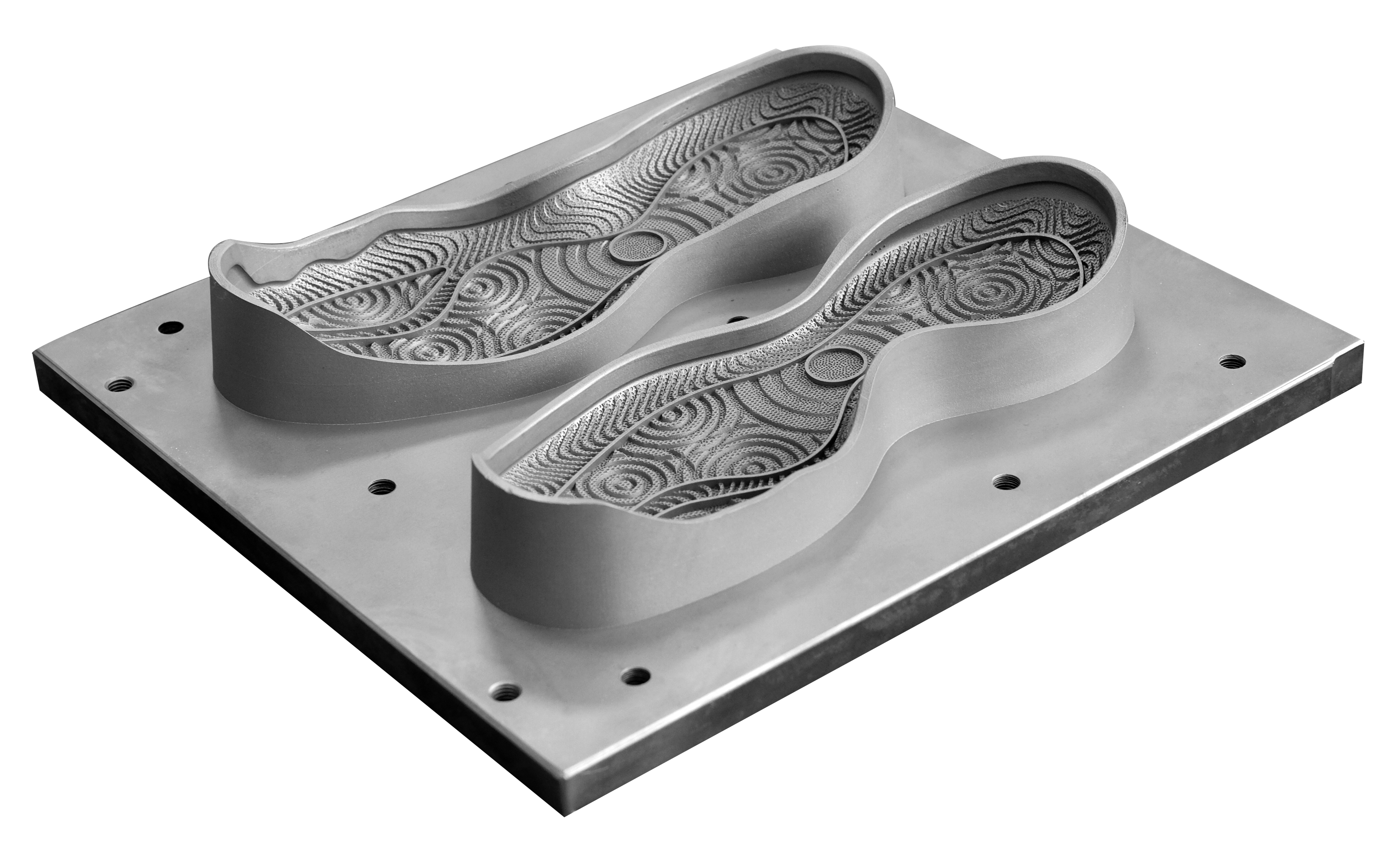 ShoeMold_316L_FS421M